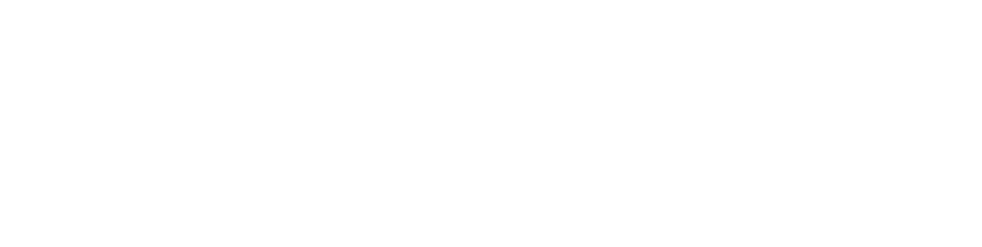 XL2